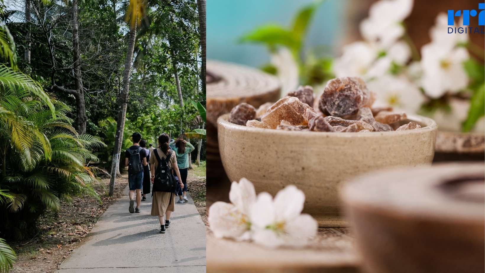 Wisata Wellness