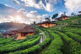 Wisata Indonesia