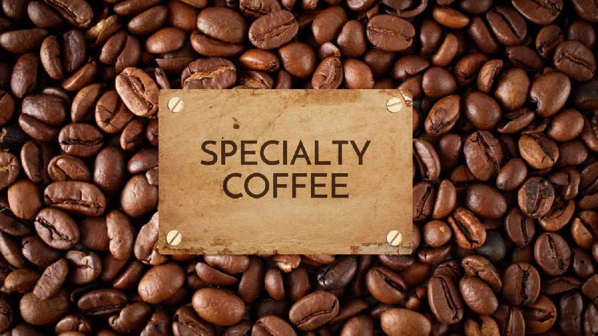 kopi spesialti